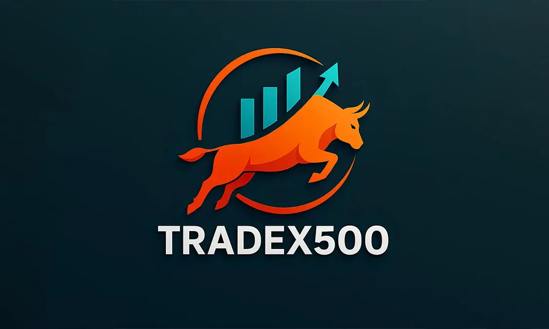 Logos & Identity Exploration 6