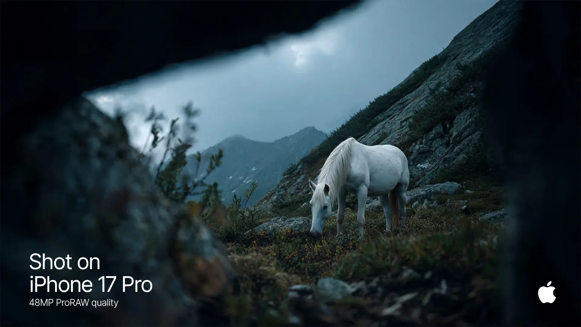 Apple Unicorn